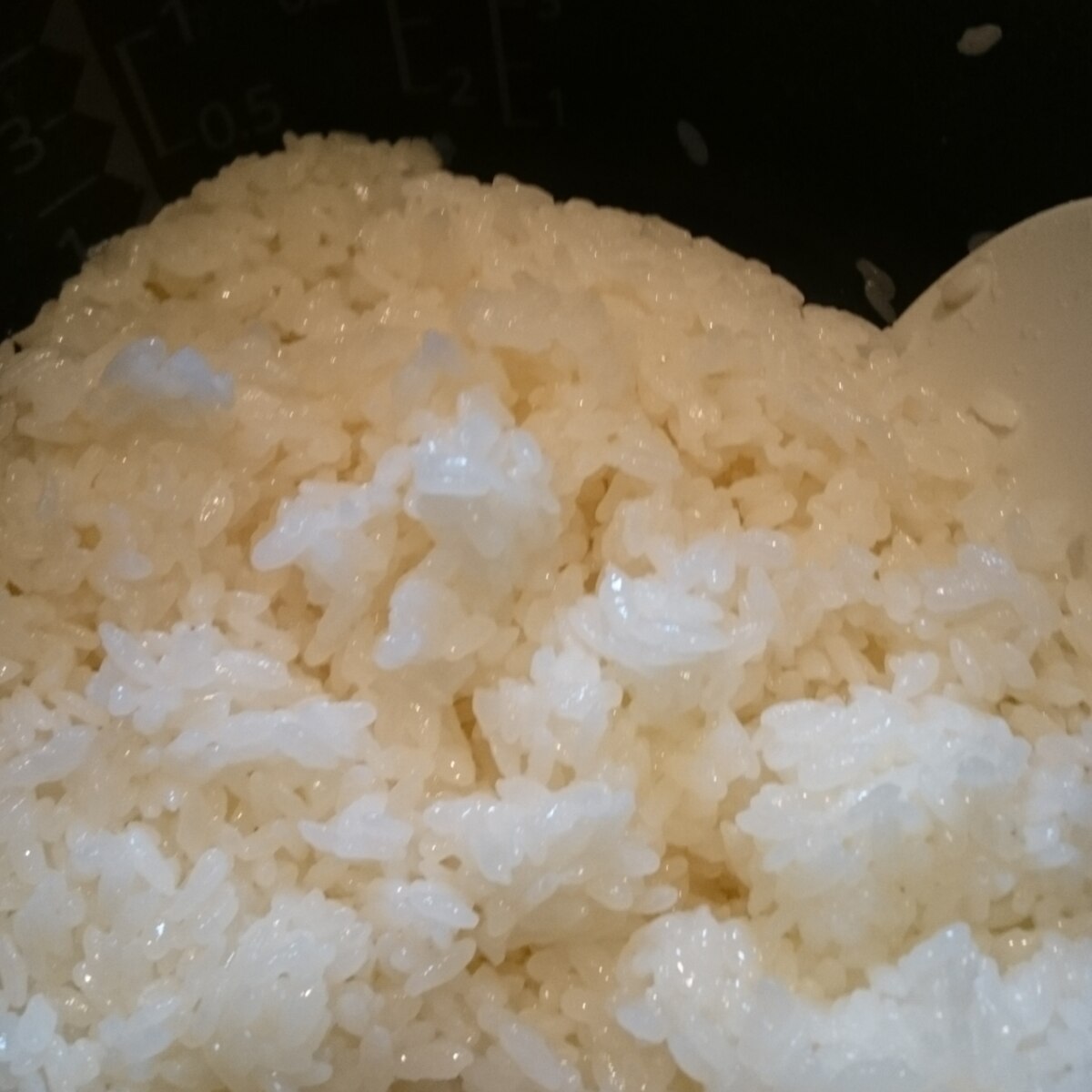 すし酢 黄金 比 必見 お寿司屋さん秘伝の シャリ酢の黄金比 Makizushi倶楽部 すし酢 黄金 比 必見 お寿司屋さん秘伝の シャリ酢の黄金比 Makizushi倶楽部